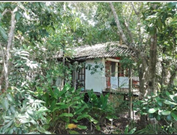 Bahia Das Jangadas. Hotel Serra Grande  Eksteriør billede